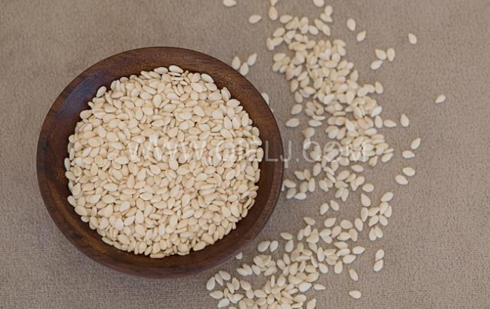 芝麻油壓榨處理設備，企鵝牌液壓榨油機勇于創新生產效率高(圖1)