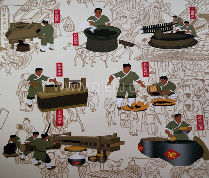 芝麻油提取加工，企鵝糧油機(jī)械生產(chǎn)色香味俱佳的油脂(圖2)