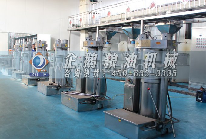 芝麻油提取加工，企鵝糧油機(jī)械生產(chǎn)色香味俱佳的油脂(圖3)